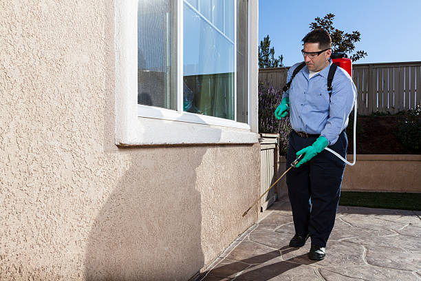 Best Rodent Control (Mice, Rats)  in Columbia Falls, MT